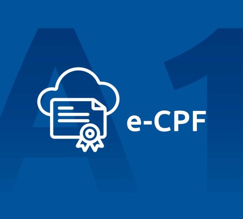 e-cpf BIG33